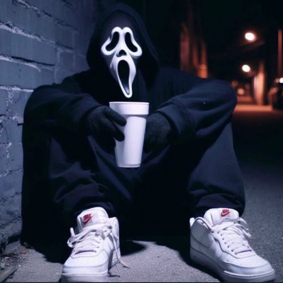 Meet your Posher, Jose - Picture 1 of 1